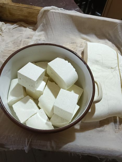 IMG20240419145200 - Turcana alba