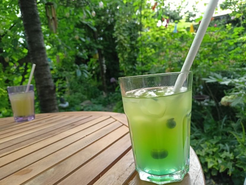 relaxare pe-nserat ;-) - Grădina 2024 continuare 2