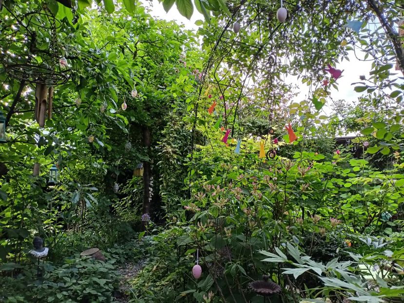  - Grădina 2024 continuare 2