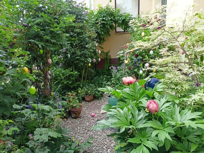  - Grădina 2024 continuare 2