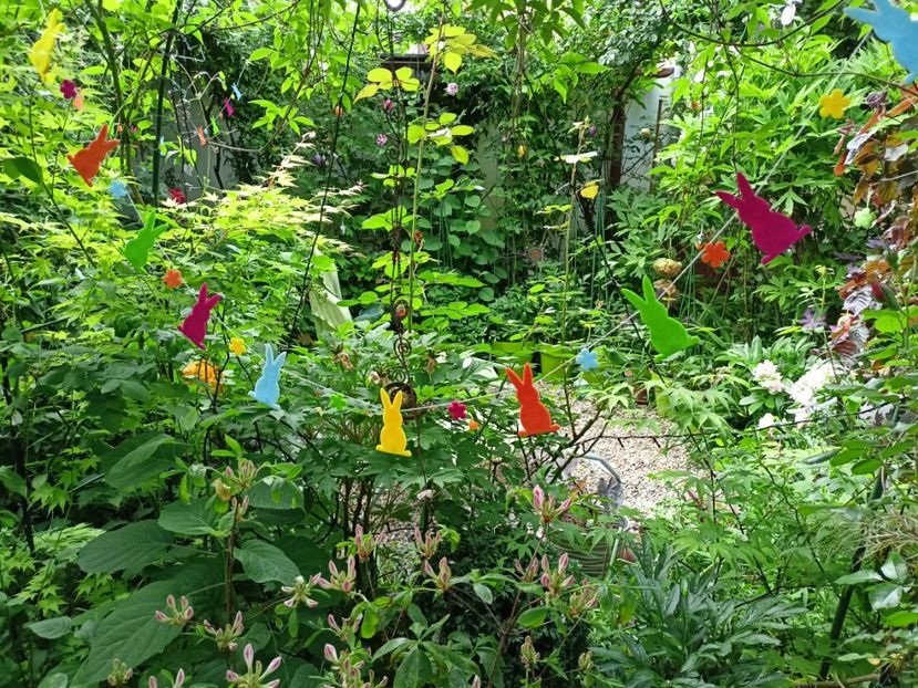  - Grădina 2024 continuare 2