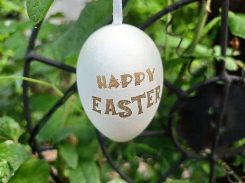  - Grădina 2024 continuare 2