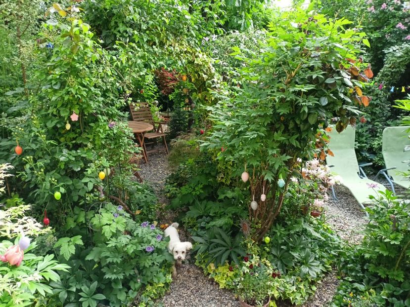  - Grădina 2024 continuare 2