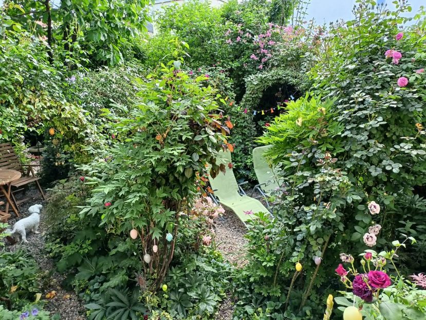  - Grădina 2024 continuare 2