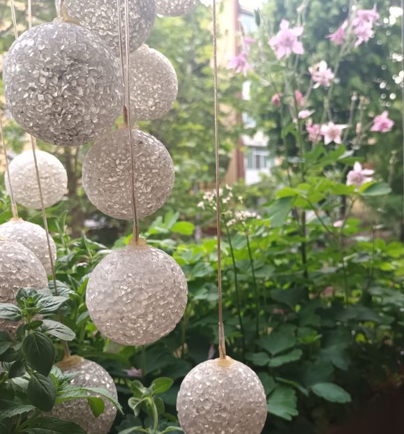 Chiar si la bloc am pus caldaruse... - Linişte şi flori