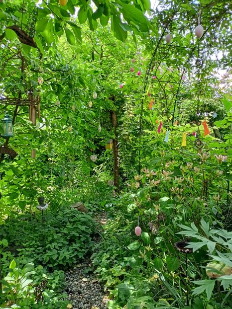  - Grădina 2024 continuare 2