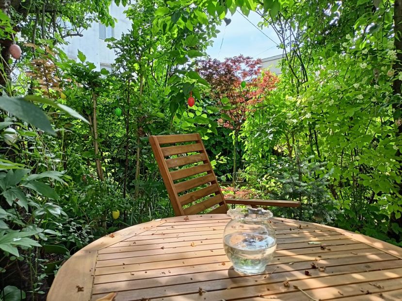  - Grădina 2024 continuare 2