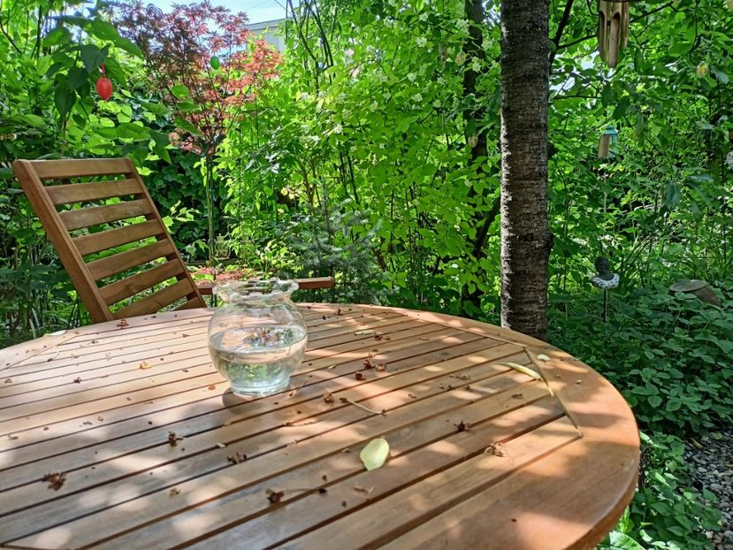  - Grădina 2024 continuare 2