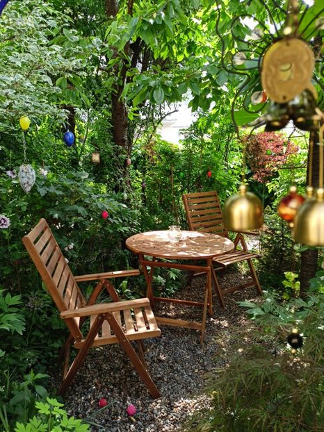  - Grădina 2024 continuare 2