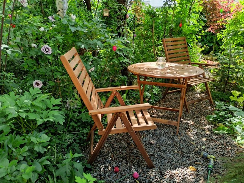  - Grădina 2024 continuare 2