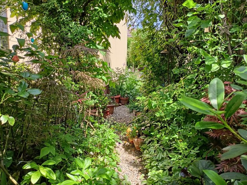  - Grădina 2024 continuare 2