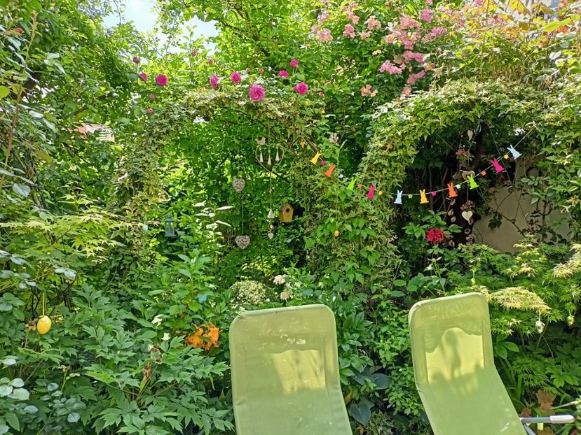  - Grădina 2024 continuare 2