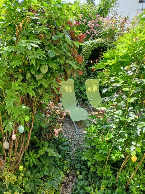  - Grădina 2024 continuare 2