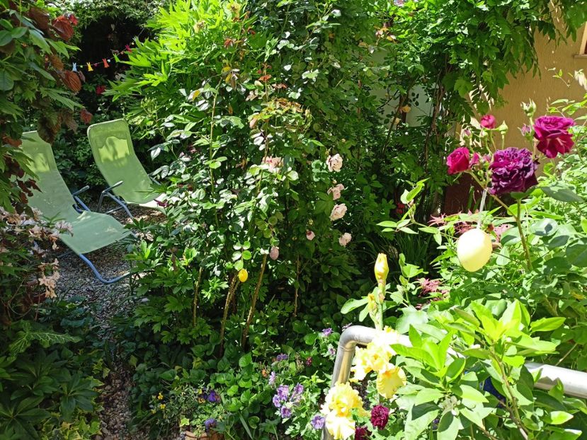  - Grădina 2024 continuare 2