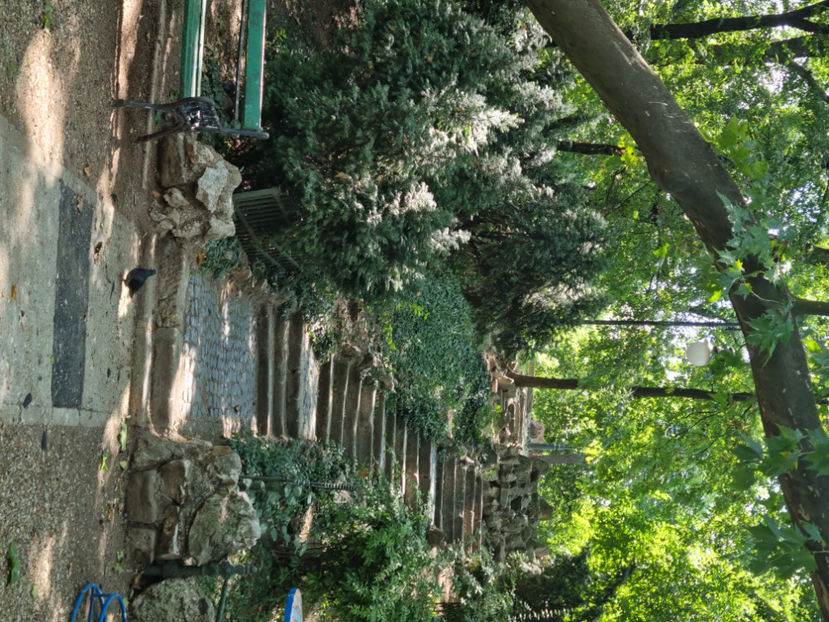  - Cișmigiu