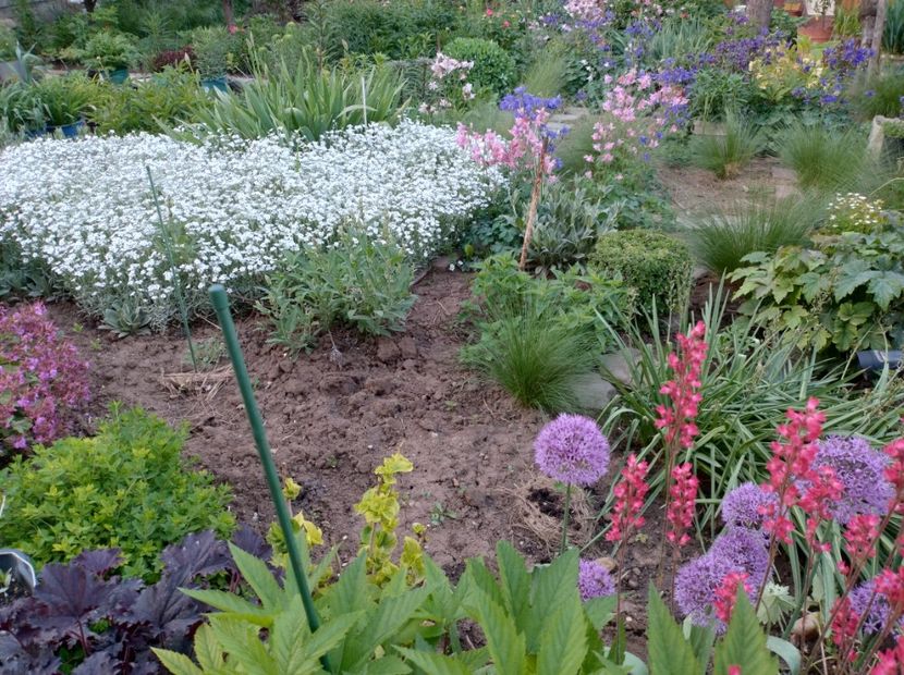  - Flori de gradină-2024