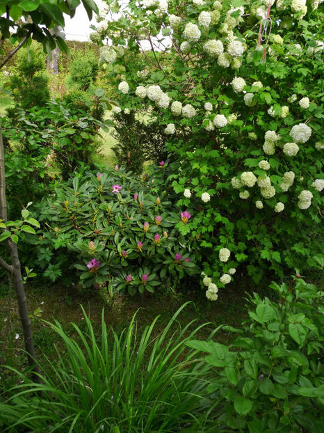  - 2024 - 01 - Primavara