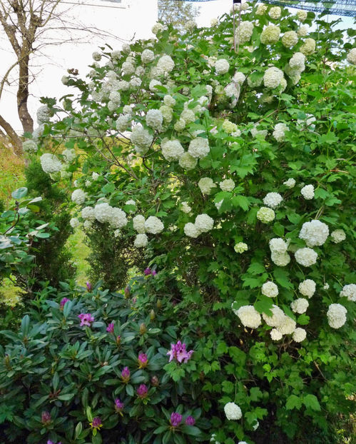  - 2024 - 01 - Primavara