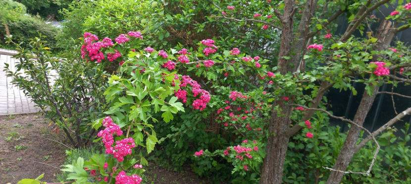  - 2024 - 01 - Primavara