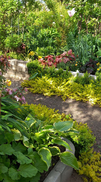  - 2024 - 01 - Primavara