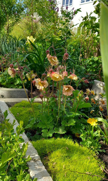  - 2024 - 01 - Primavara