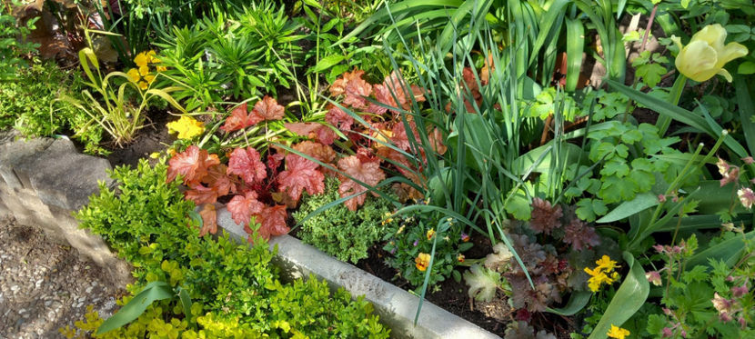  - 2024 - 01 - Primavara