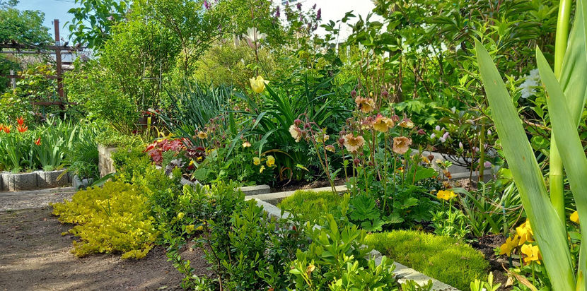  - 2024 - 01 - Primavara