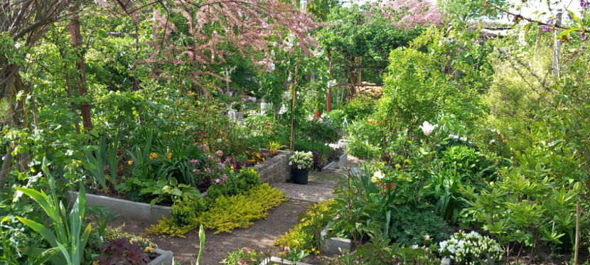  - 2024 - 01 - Primavara