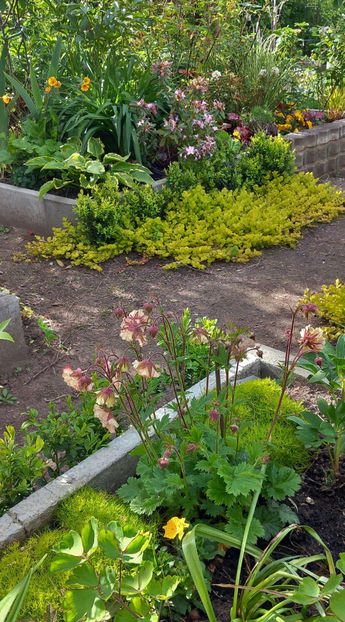  - 2024 - 01 - Primavara