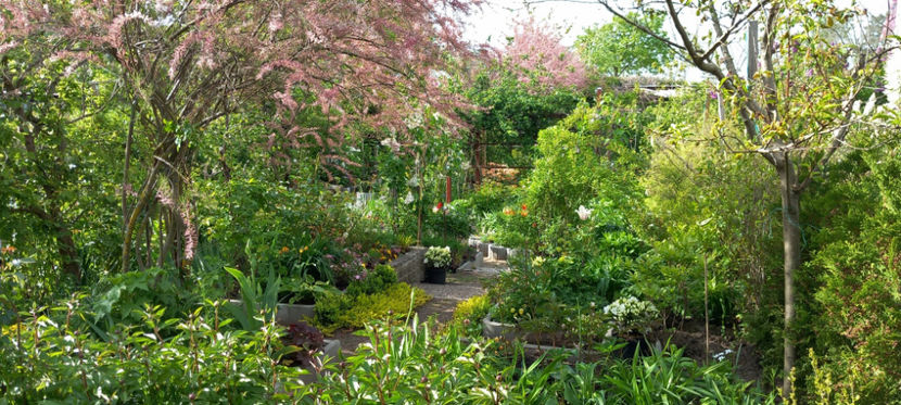  - 2024 - 01 - Primavara