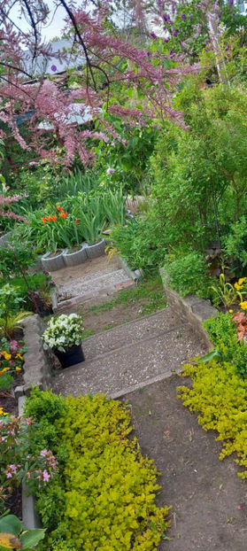  - 2024 - 01 - Primavara