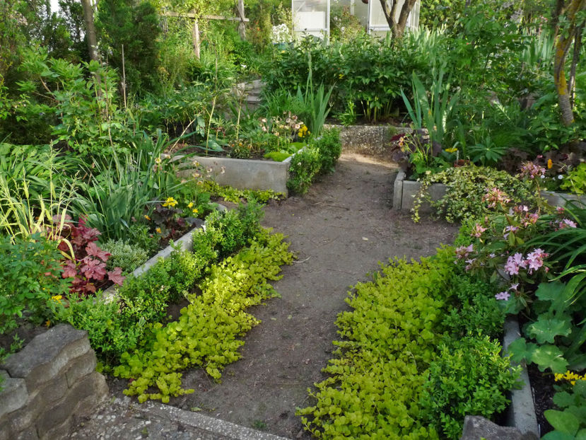  - 2024 - 01 - Primavara