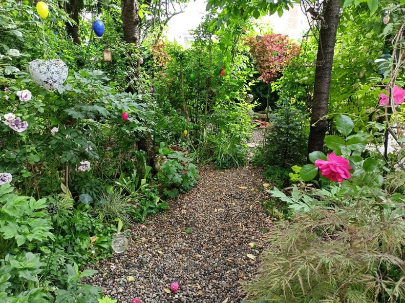  - Grădina 2024 continuare 2