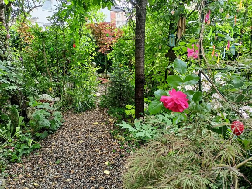  - Grădina 2024 continuare 2