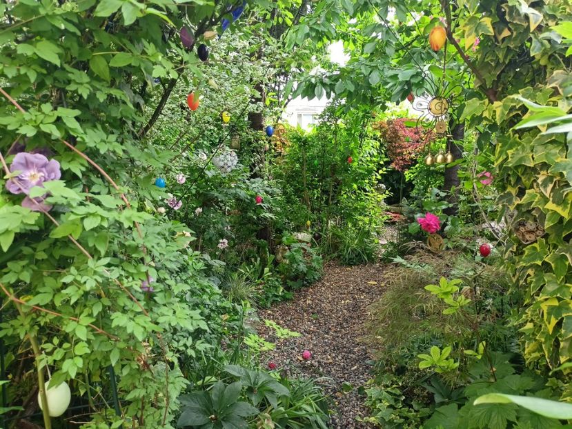  - Grădina 2024 continuare 2