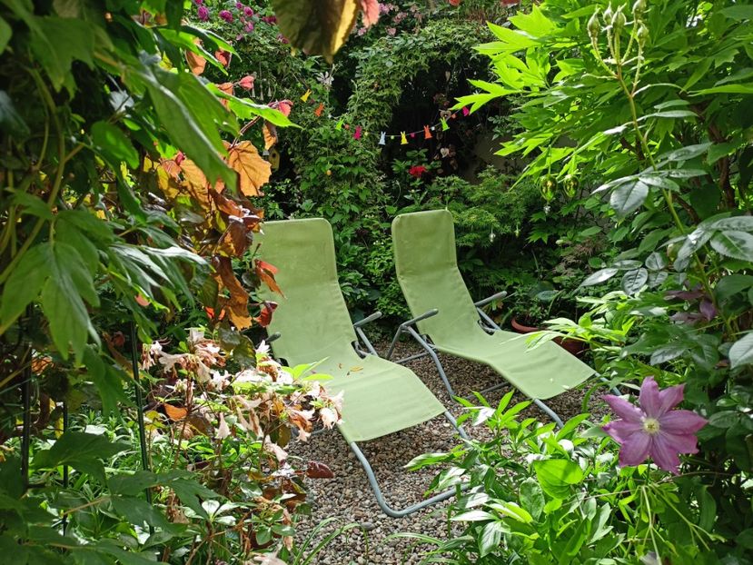  - Grădina 2024 continuare 2