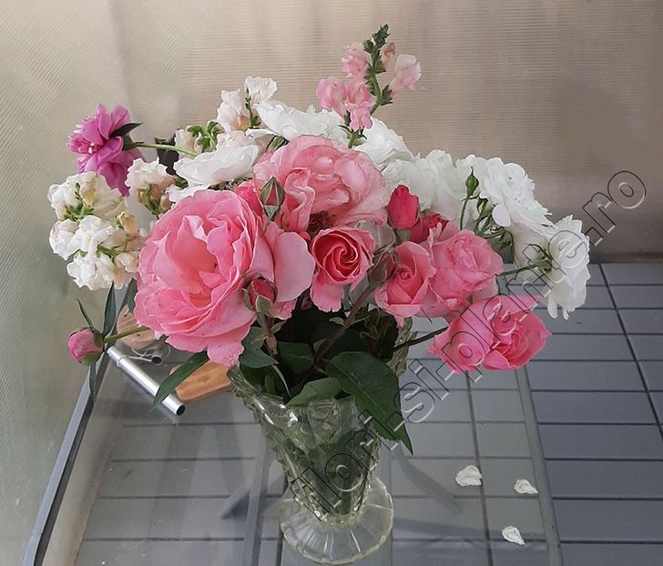 Buchet flori - Diverse