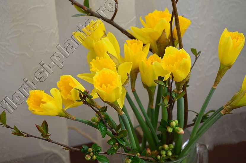 Buchet flori 3 - Diverse