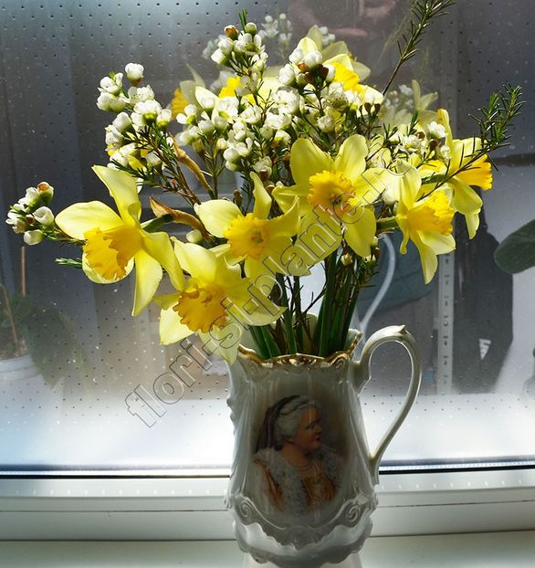 Buchet Narcise 2024 3 - Diverse