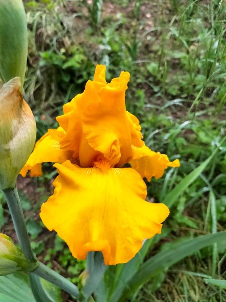 IMG20240510070924 - Mai 2024