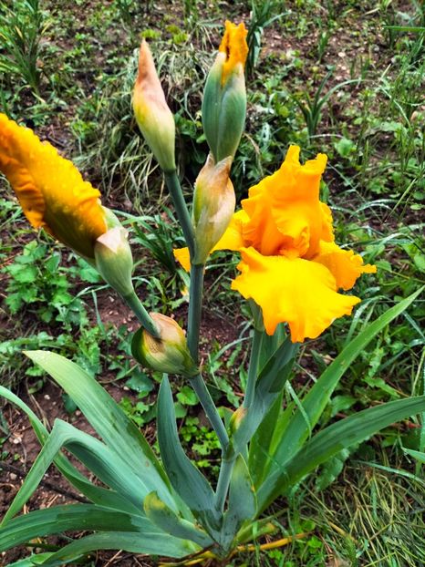 IMG20240510070921 - Mai 2024