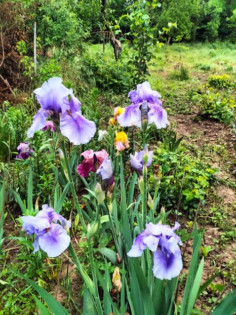 IMG20240510070820 - Mai 2024