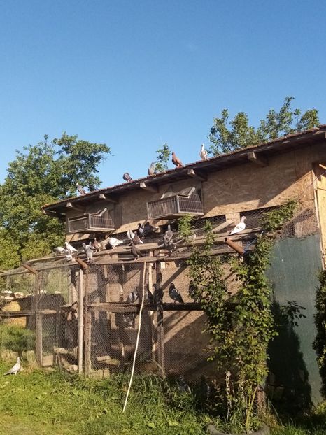 Pui-2024 - Liberi si fericiti