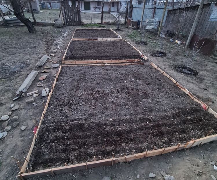  - Gradina tara 2024