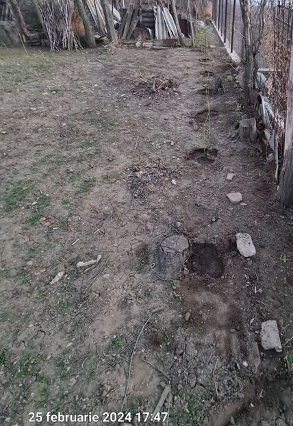  - Gradina tara 2024