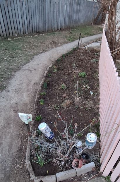  - Gradina tara 2024