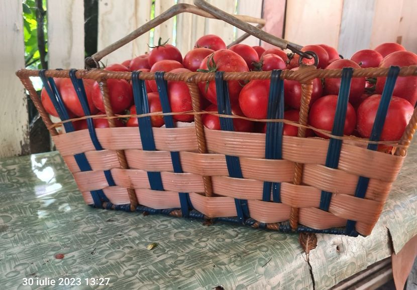  - 1M album 2023-gradina tara