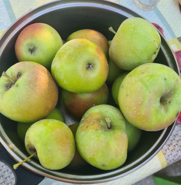  - 1M album 2023-gradina tara