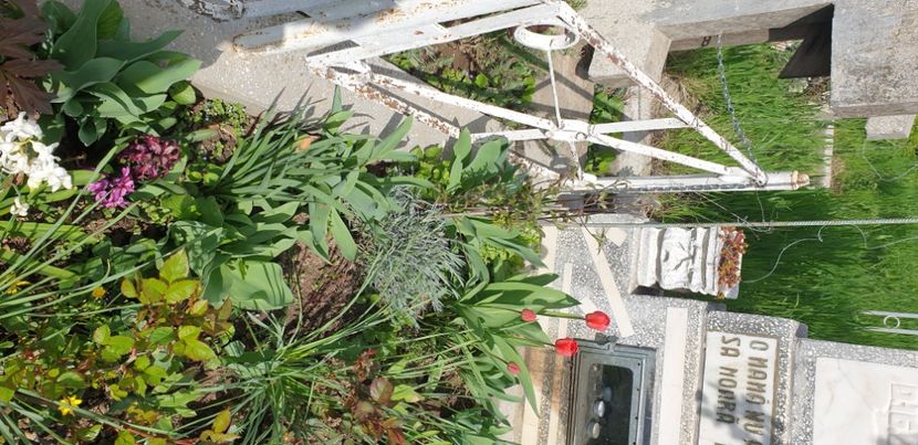  - 1M album 2021 gradina mama