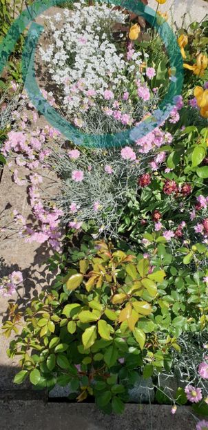  - 1M album 2021 gradina mama